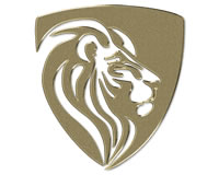 Lion Elevadores LTDA   28.796.961/0001-73